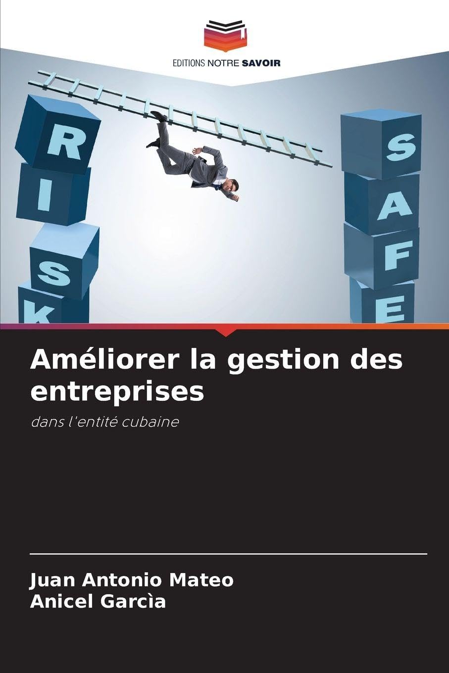 Améliorer la gestion des entreprises Law