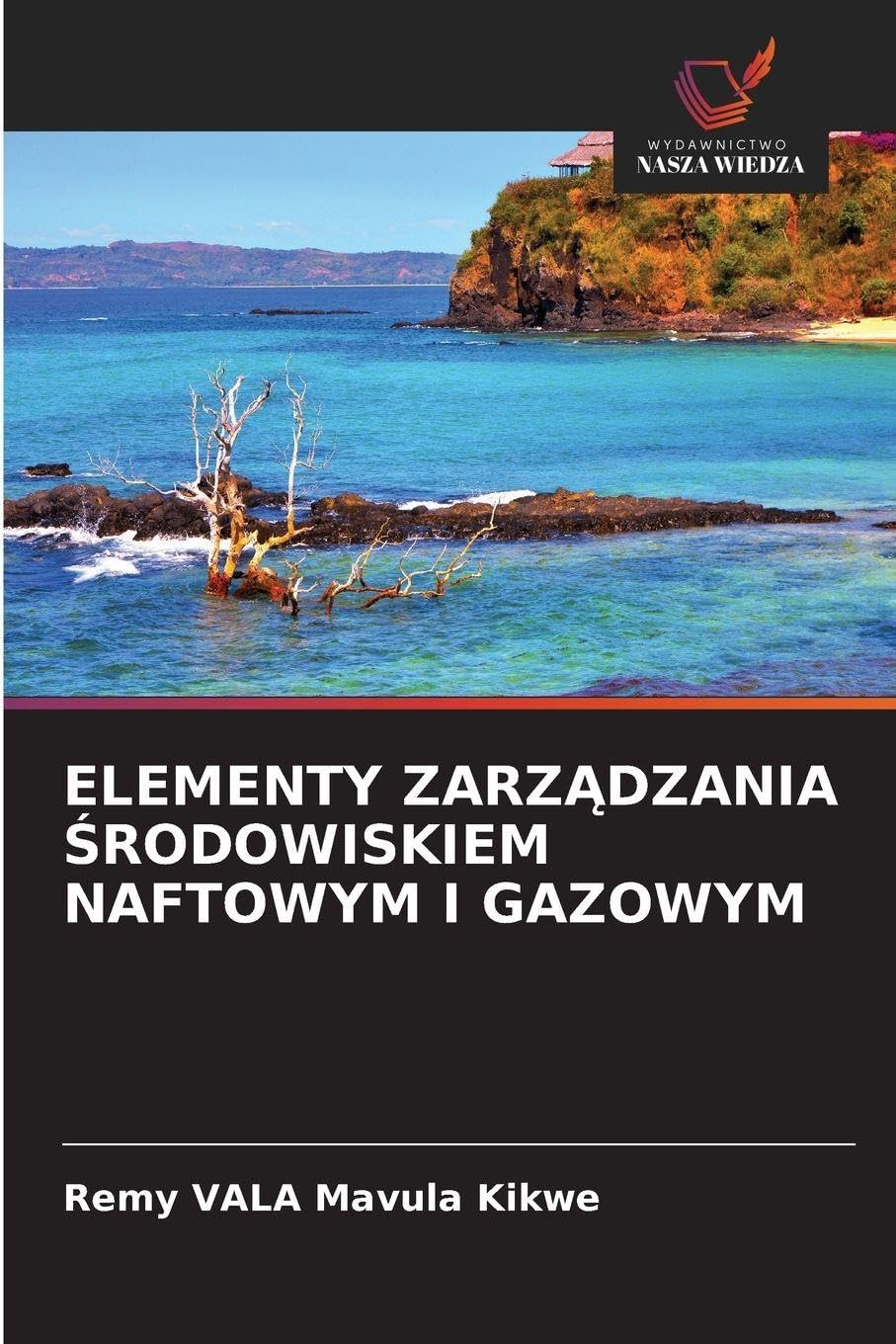 ELEMENTY ZARZ¿DZANIA ¿RODOWISKIEM NAFTOWYM I GAZOWYM Natural Sciences