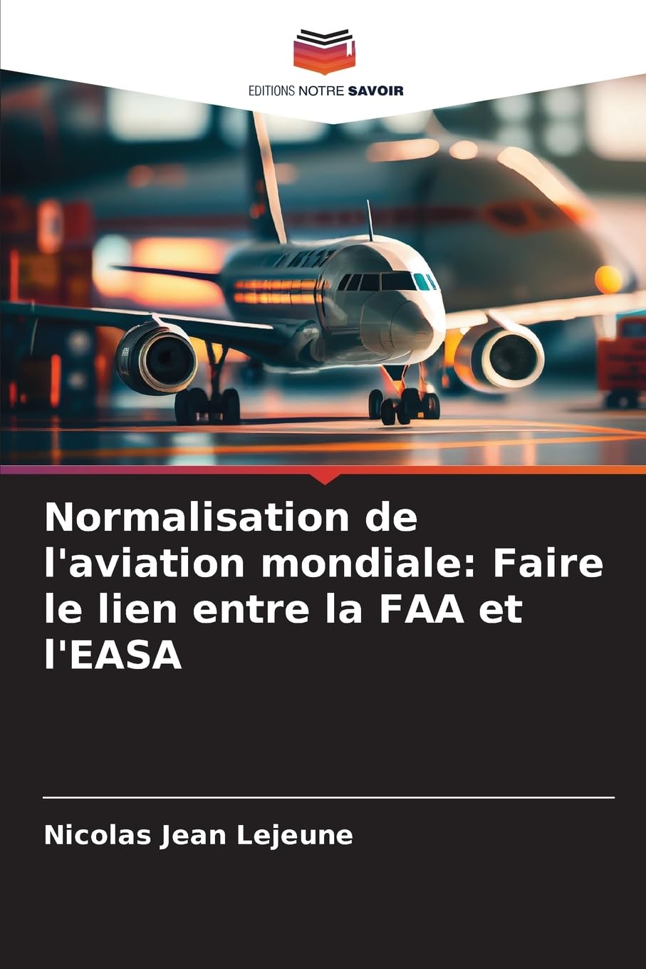 Normalisation de l'aviation mondiale: Faire le lien entre la FAA et l'EASA Leisure, Home & Garden