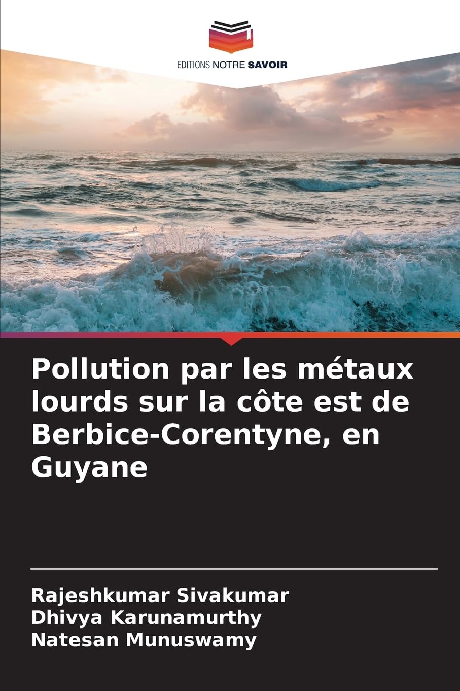 Pollution par les métaux lourds sur la côte est de Berbice-Corentyne, en Guyane Business, Finance & Career