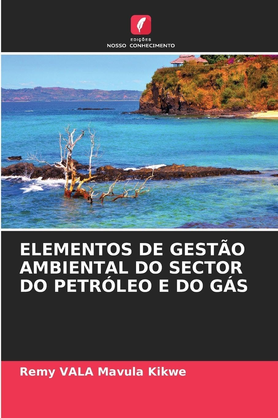 ELEMENTOS DE GESTÃO AMBIENTAL DO SECTOR DO PETRÓLEO E DO GÁS Natural Sciences