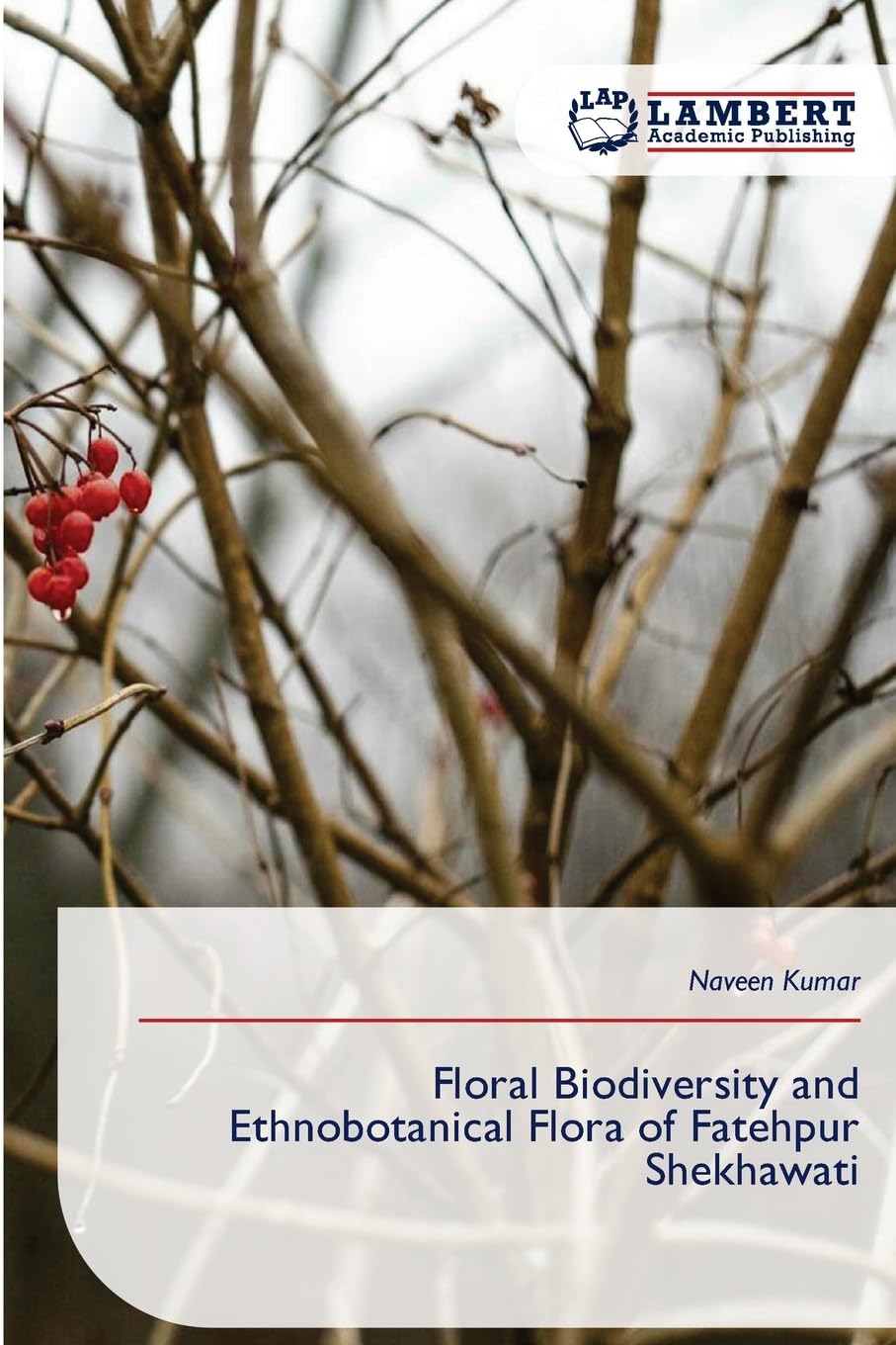 Floral Biodiversity and Ethnobotanical Flora of Fatehpur Shekhawati Natural Sciences