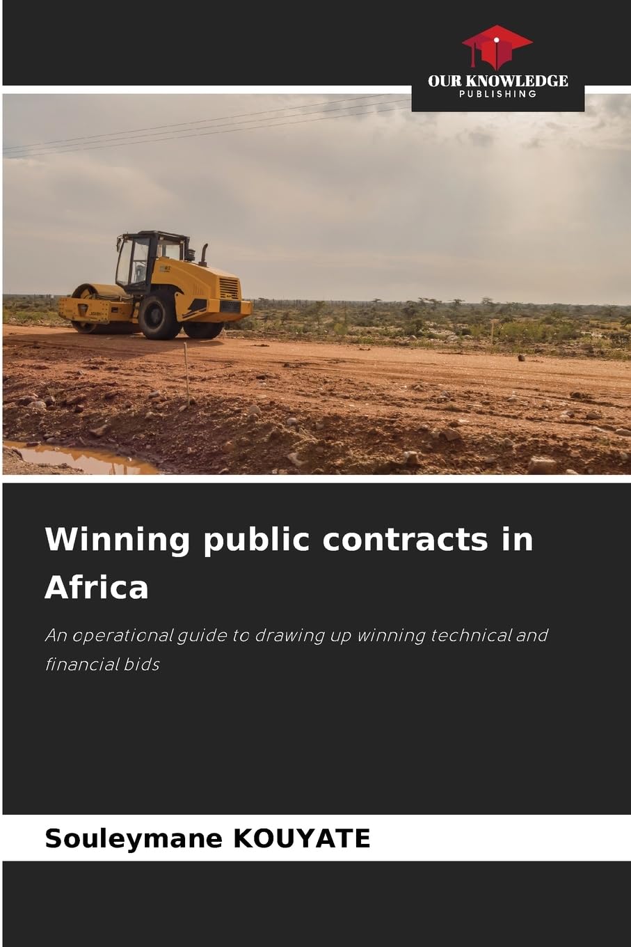 Winning public contracts in Africa Law