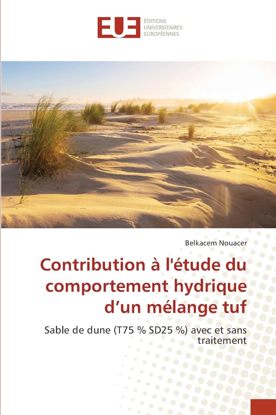 Contribution à l'étude du comportement hydrique d'un mélange tuf Natural Sciences