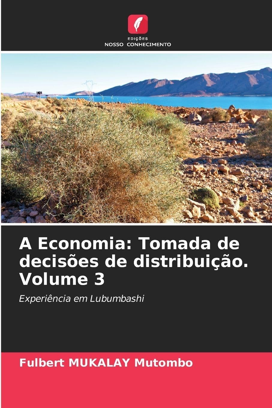 A Economia: Tomada de decisões de distribuição. Volume 3 Law