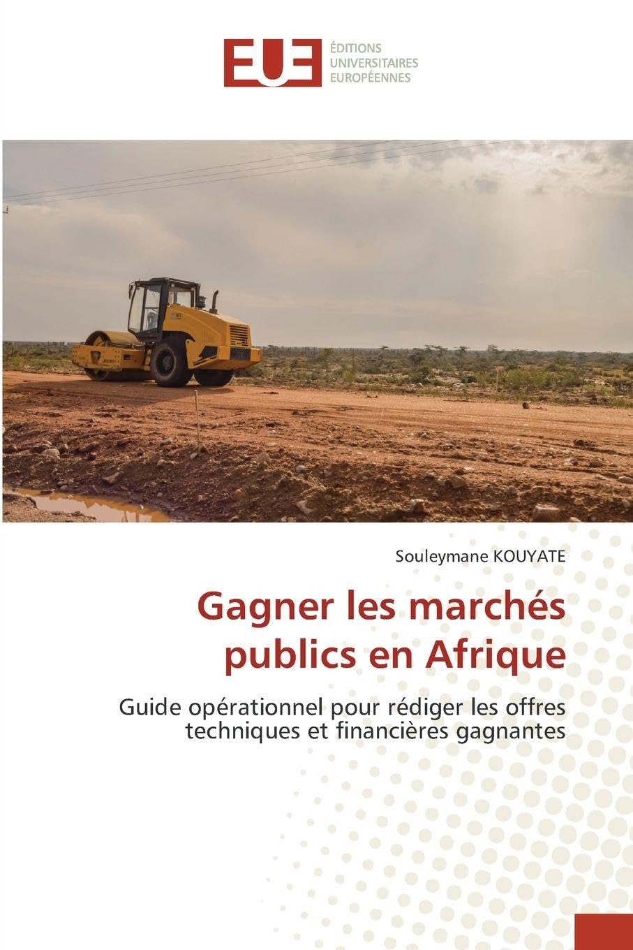 Gagner les marchés publics en Afrique Law