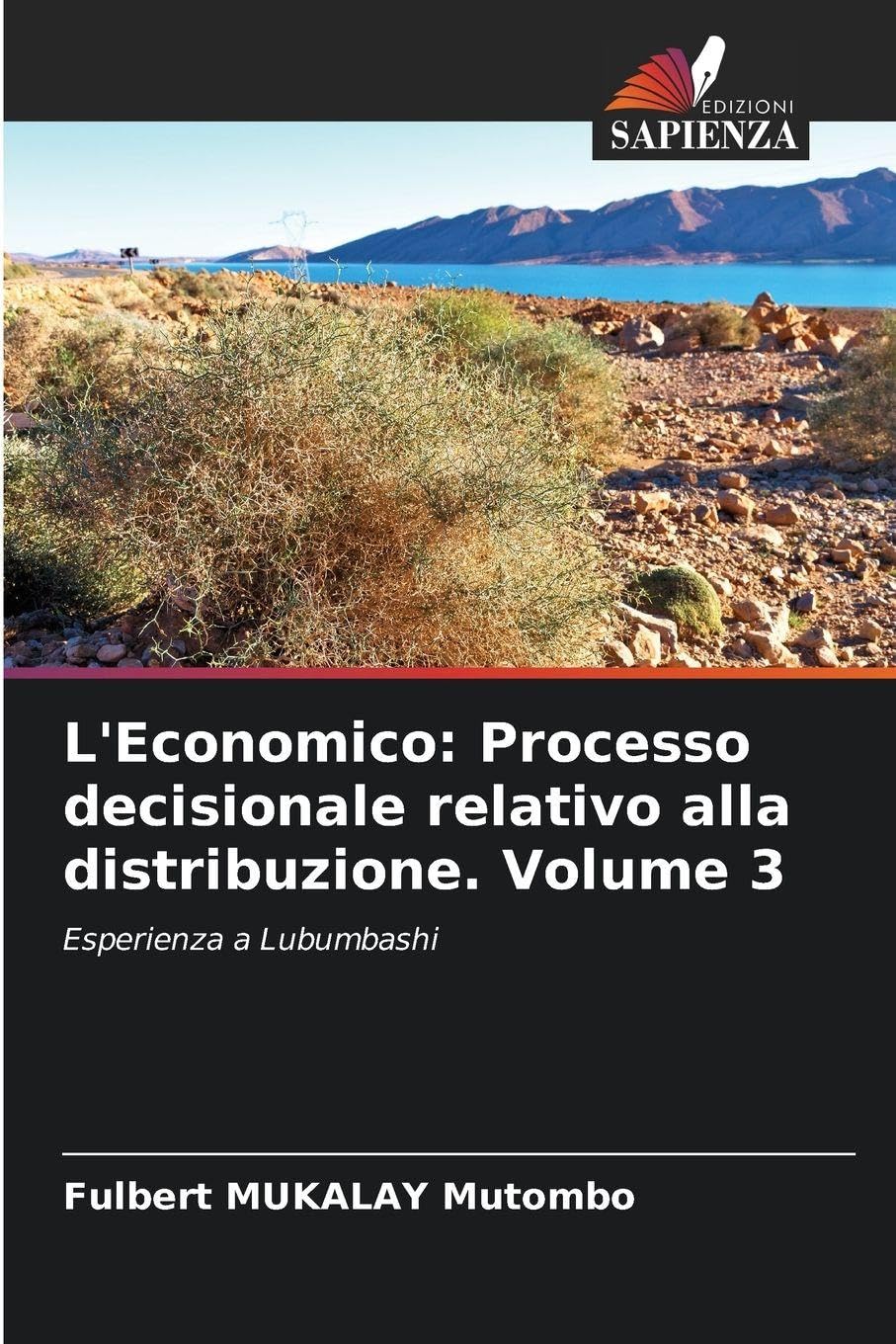 L'Economico: Processo decisionale relativo alla distribuzione. Volume 3 Law