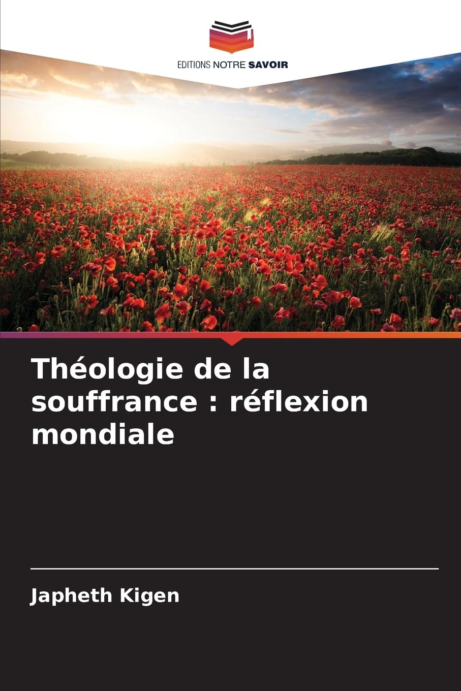 Théologie de la souffrance : réflexion mondiale Religion & Esotericism