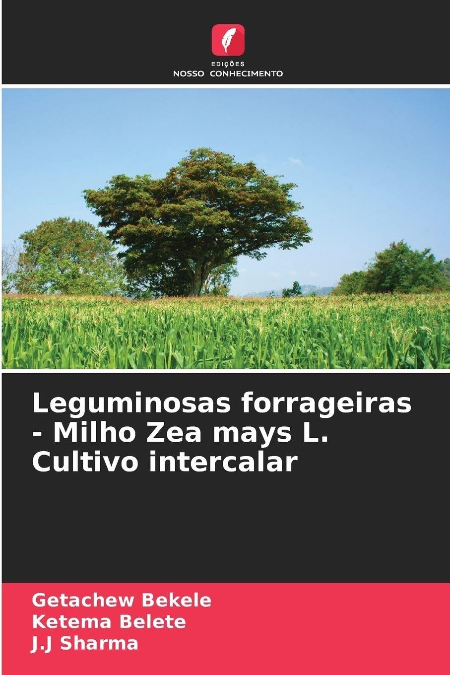 Leguminosas forrageiras - Milho Zea mays L. Cultivo intercalar Natural Sciences