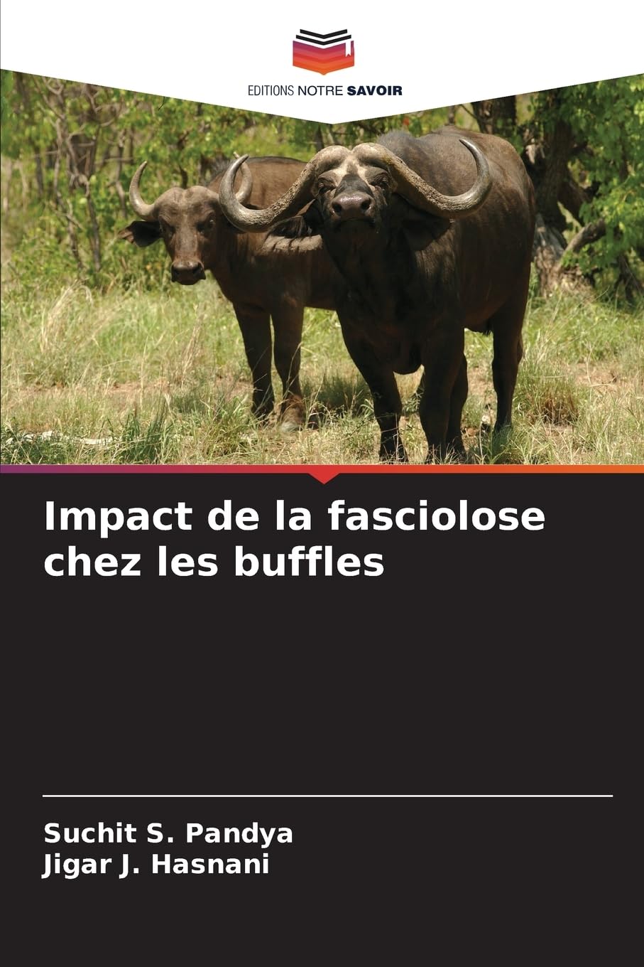 Impact de la fasciolose chez les buffles Medicine