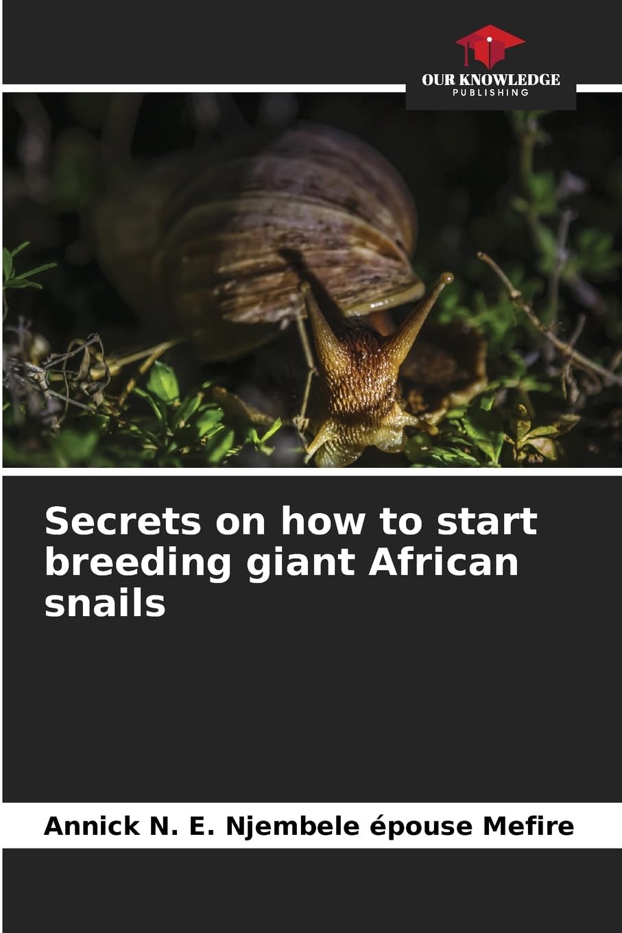 Secrets on how to start breeding giant African snails Natural Sciences