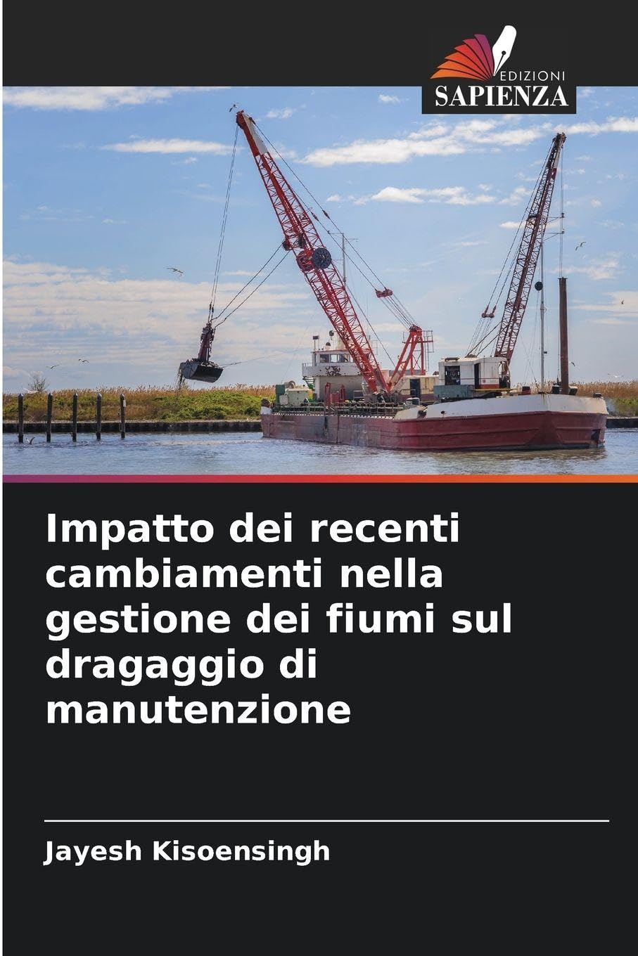 Impatto dei recenti cambiamenti nella gestione dei fiumi sul dragaggio di manutenzione Mathematics