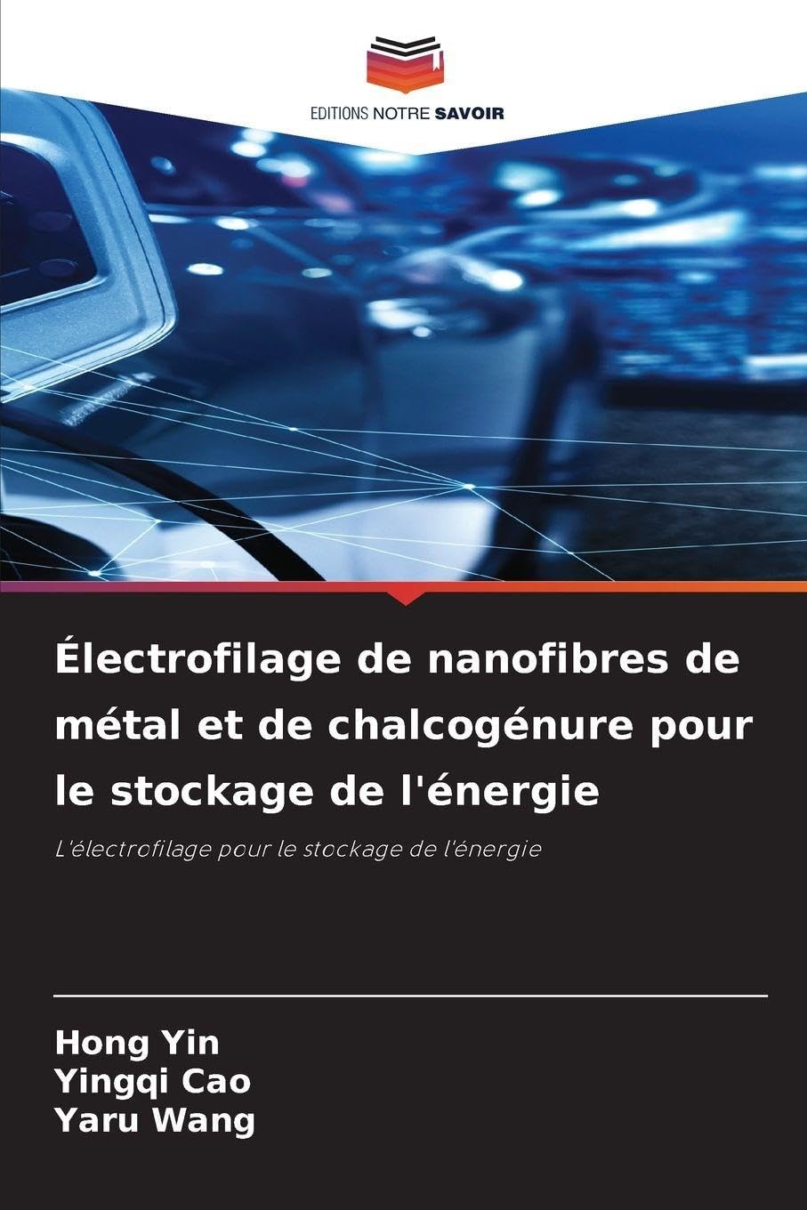 Électrofilage de nanofibres de métal et de chalcogénure pour le stockage de l'énergie Natural Sciences