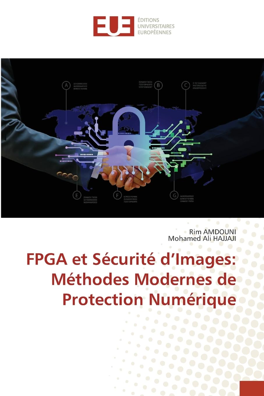 FPGA et Sécurité d'Images: Méthodes Modernes de Protection Numérique Business & Technology