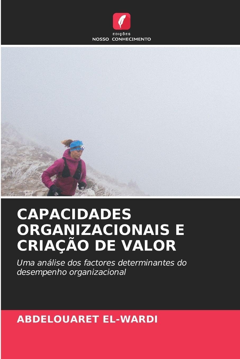 CAPACIDADES ORGANIZACIONAIS E CRIAÇÃO DE VALOR Law