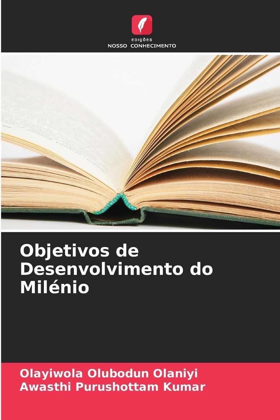 Objetivos de Desenvolvimento do Milénio Law