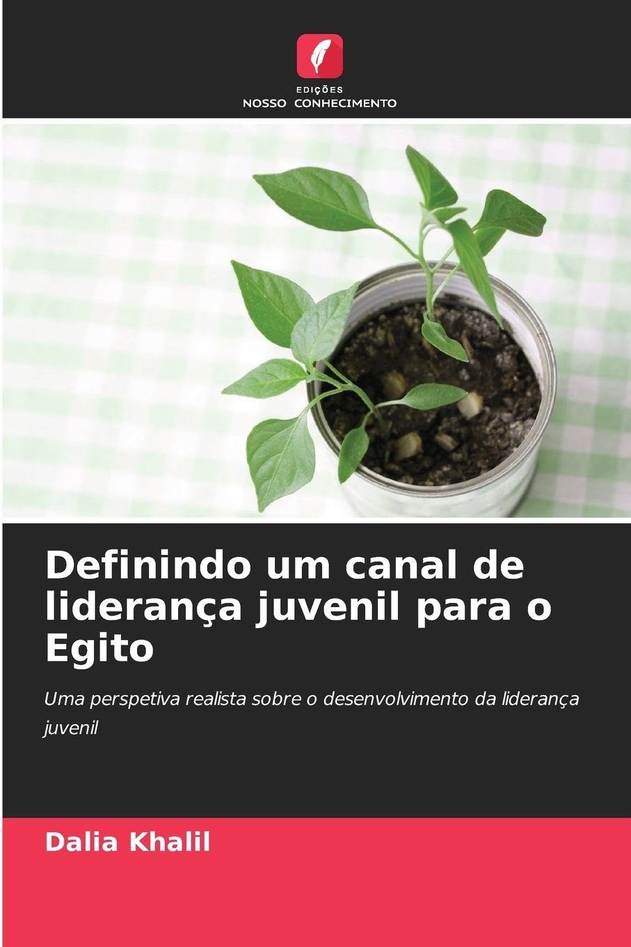 Definindo um canal de liderança juvenil para o Egito Business, Finance & Career