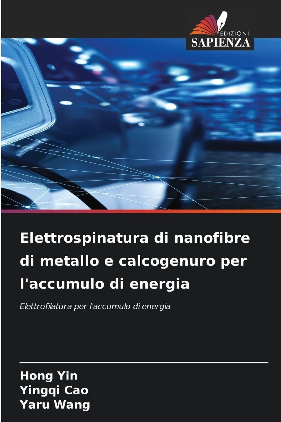 Elettrospinatura di nanofibre di metallo e calcogenuro per l'accumulo di energia Natural Sciences
