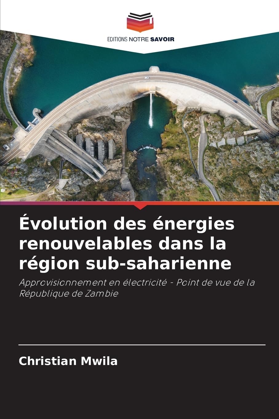 Évolution des énergies renouvelables dans la région sub-saharienne Law