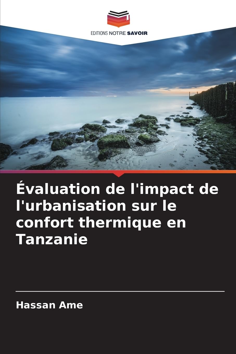Évaluation de l'impact de l'urbanisation sur le confort thermique en Tanzanie Business & Technology