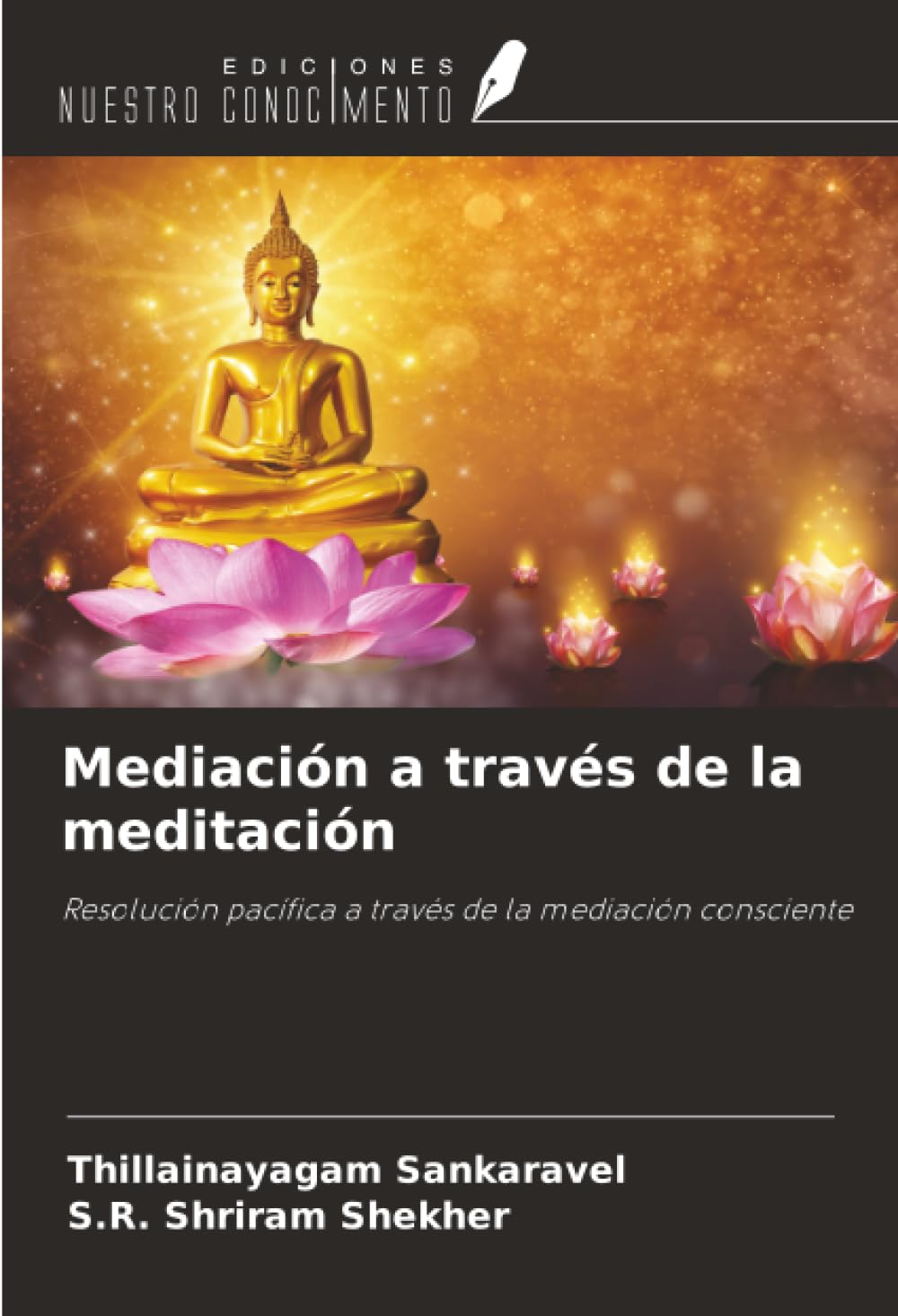 Mediación a través de la meditación Medicine