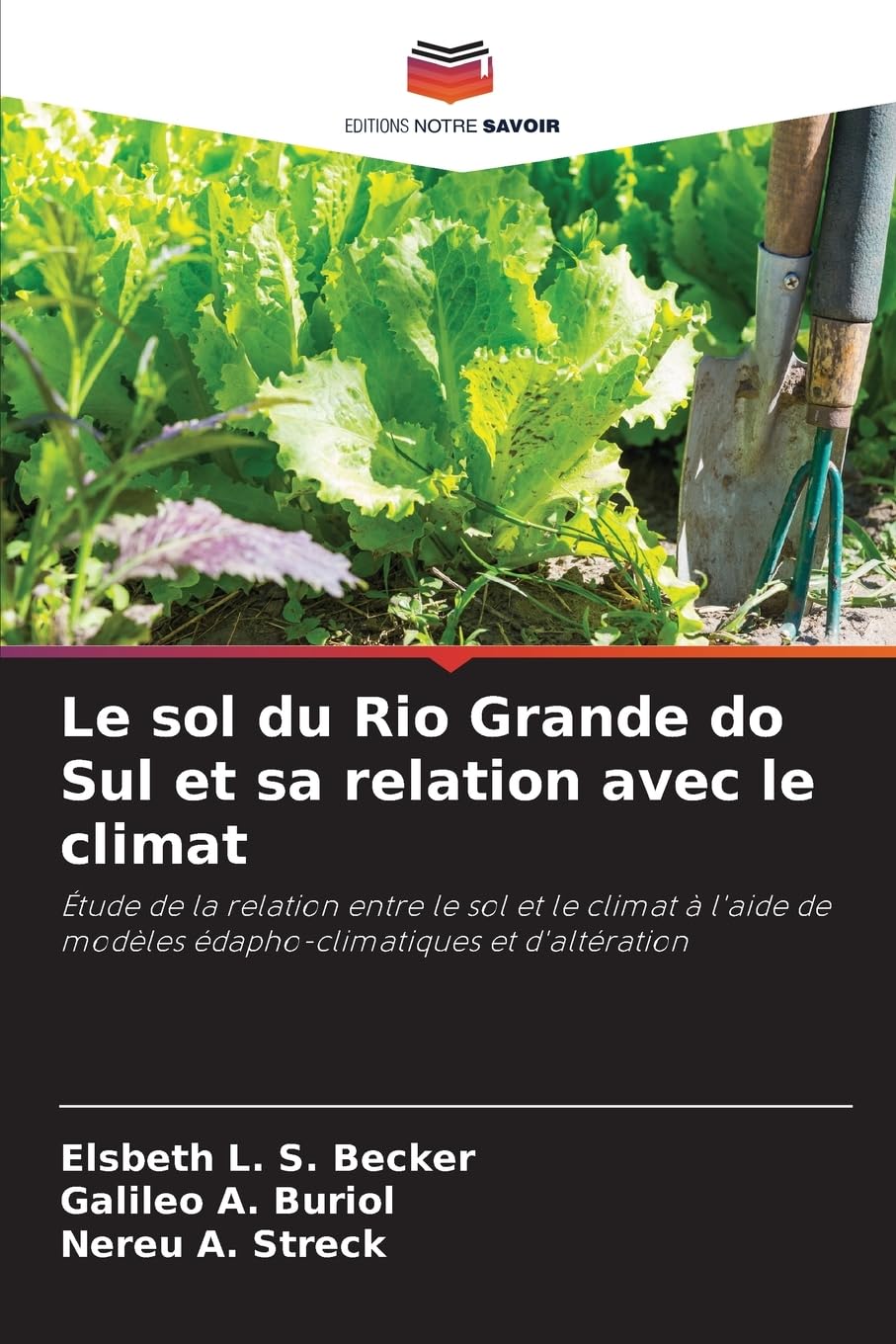 Le sol du Rio Grande do Sul et sa relation avec le climat Business & Technology