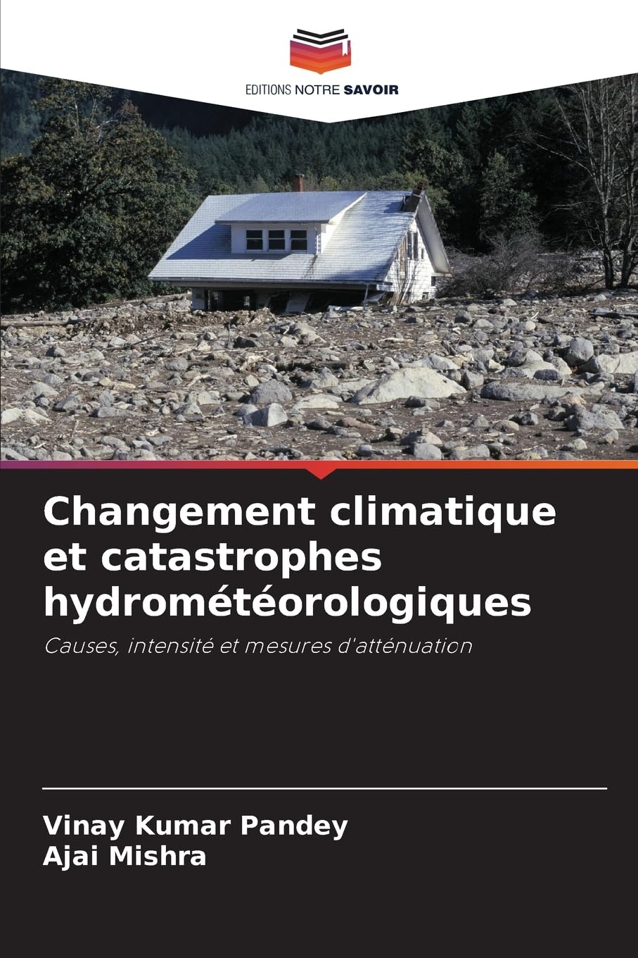 Changement climatique et catastrophes hydrométéorologiques Business & Technology