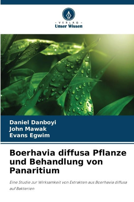 Boerhavia diffusa Pflanze und Behandlung von Panaritium Medicine