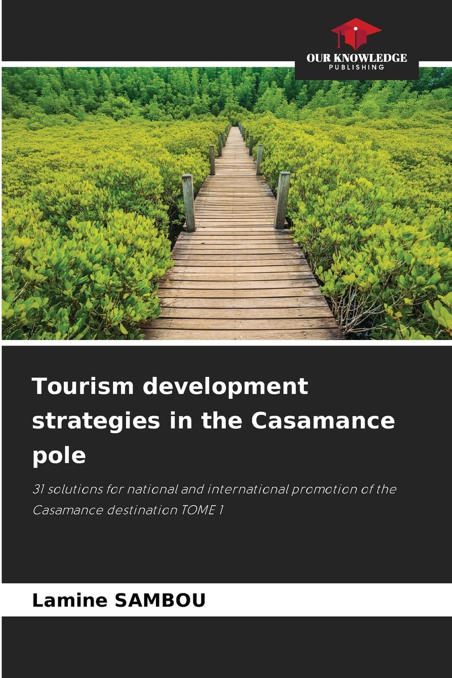 Tourism development strategies in the Casamance pole Law