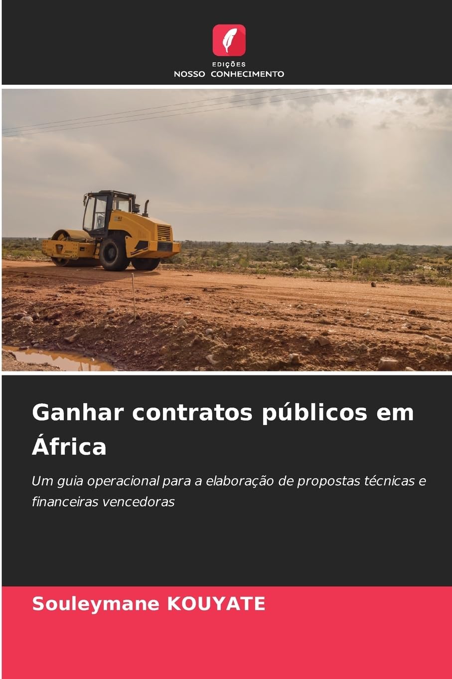 Ganhar contratos públicos em África Law
