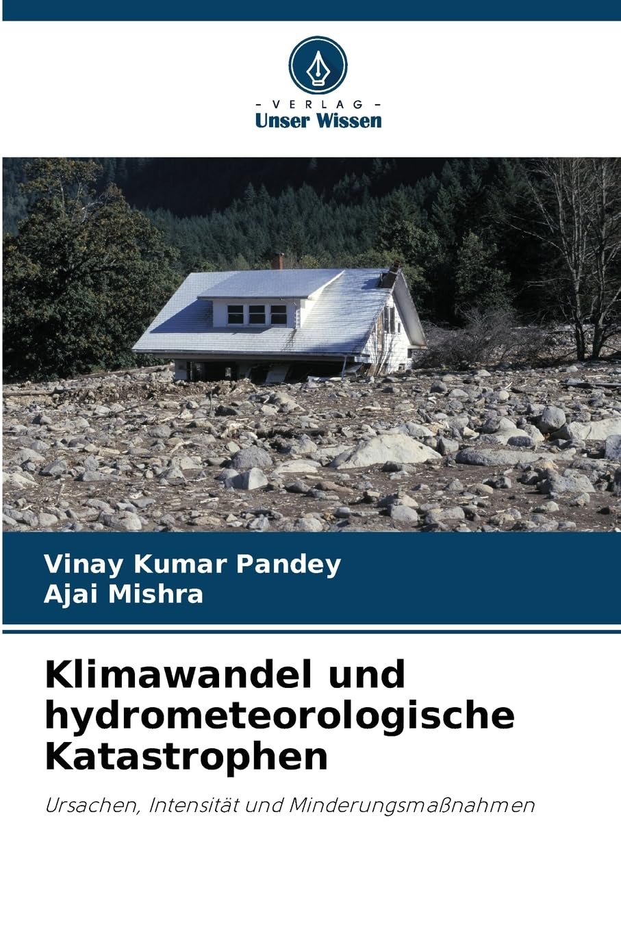 Klimawandel und hydrometeorologische Katastrophen Business & Technology