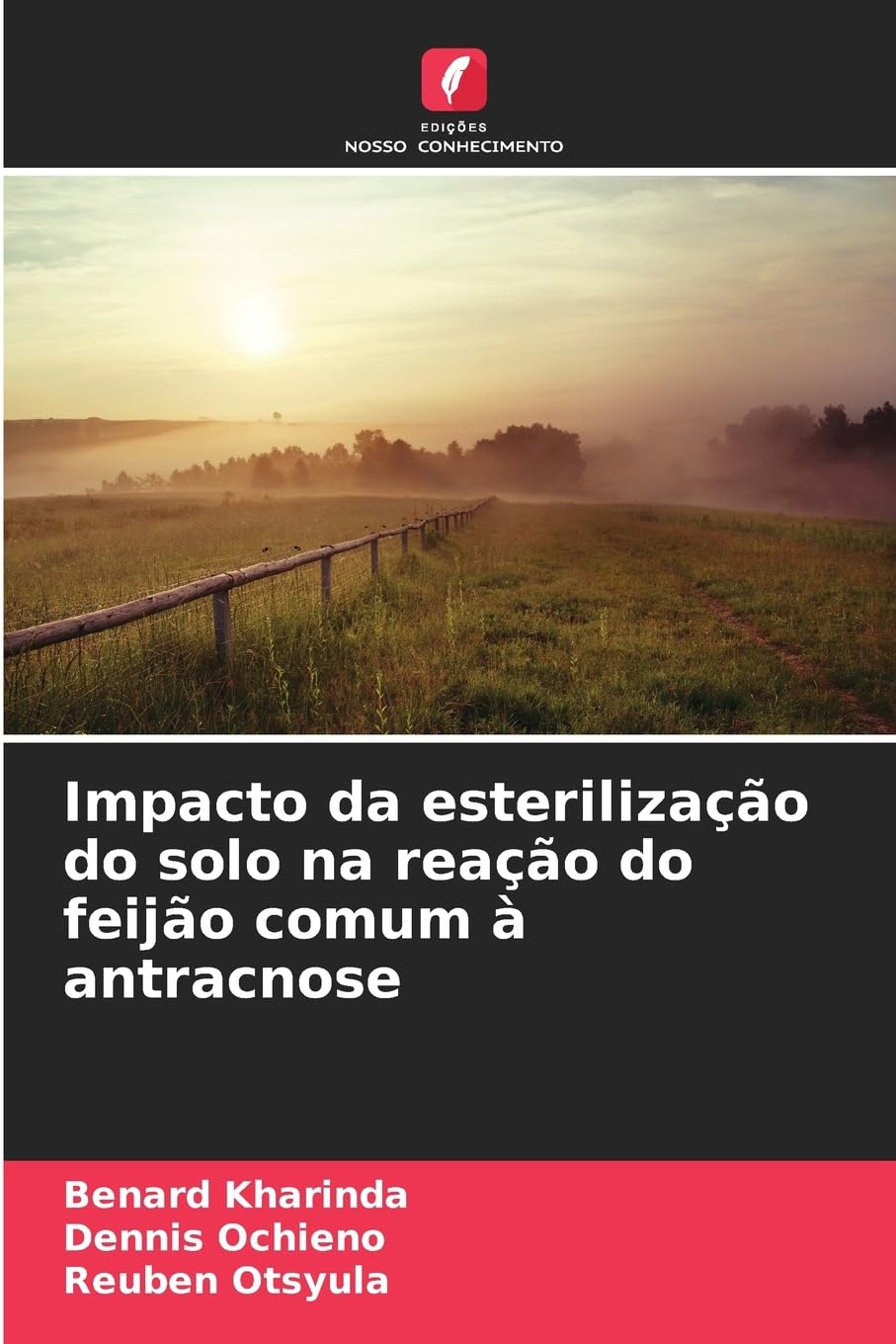 Impacto da esterilização do solo na reação do feijão comum à antracnose Natural Sciences