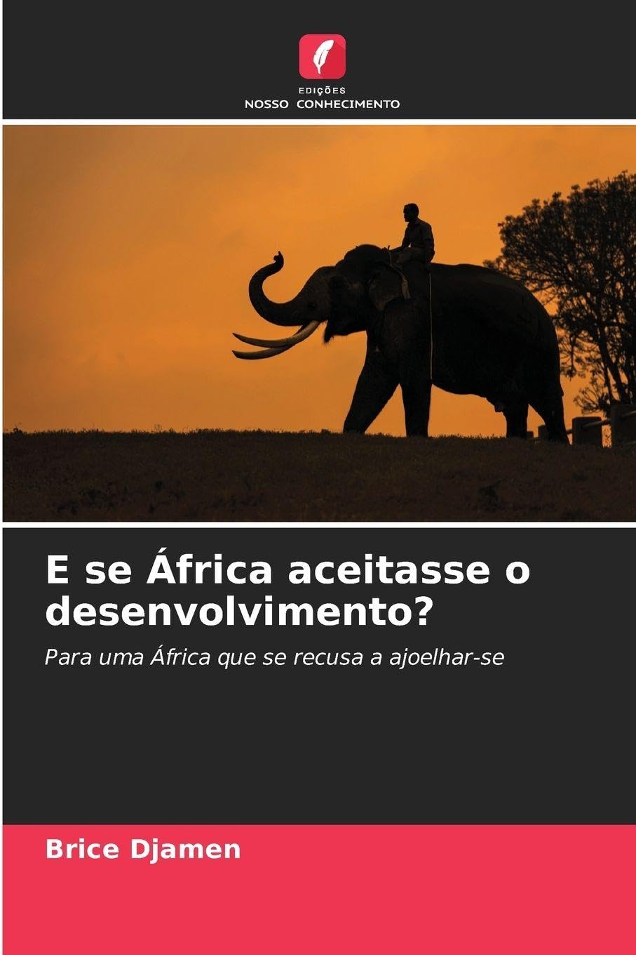 E se África aceitasse o desenvolvimento? Law