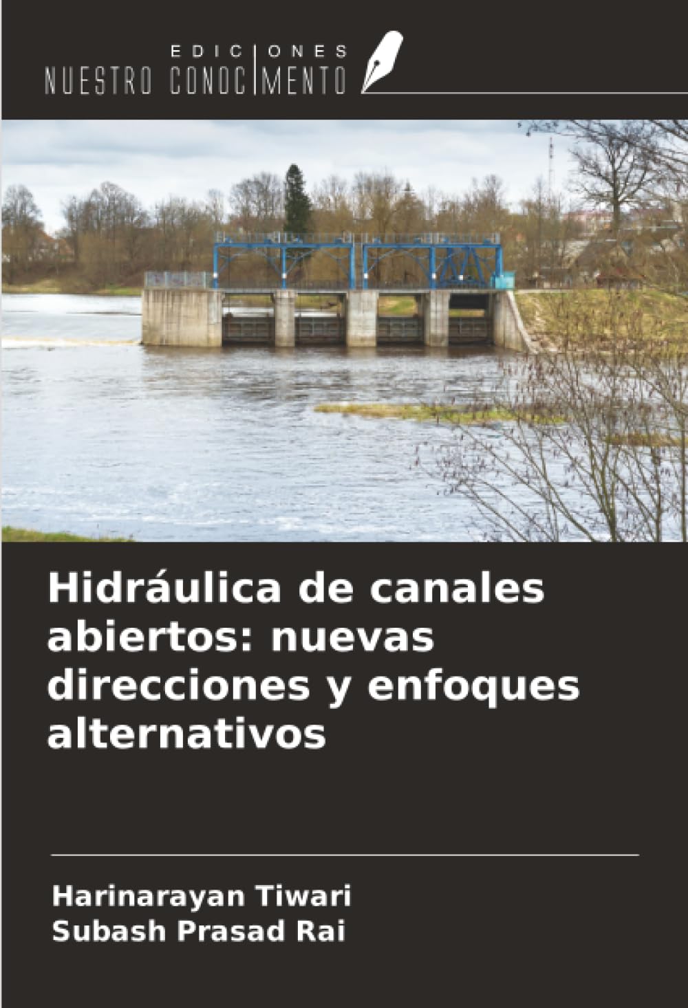 Hidráulica de canales abiertos: nuevas direcciones y enfoques alternativos Business & Technology