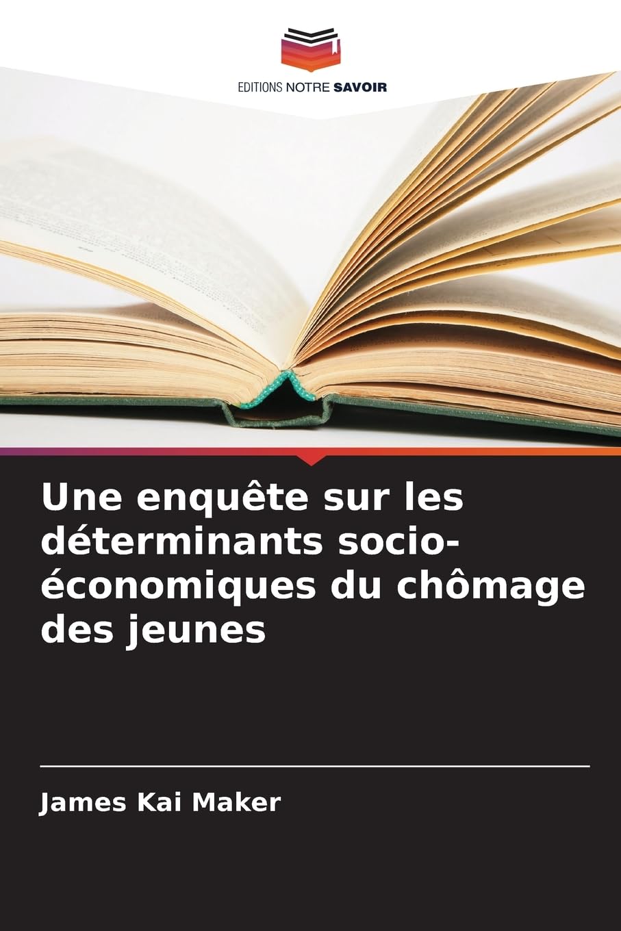 Une enquête sur les déterminants socio-économiques du chômage des jeunes Law