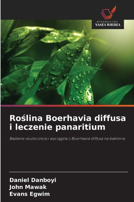 Ro¿lina Boerhavia diffusa i leczenie panaritium Medicine