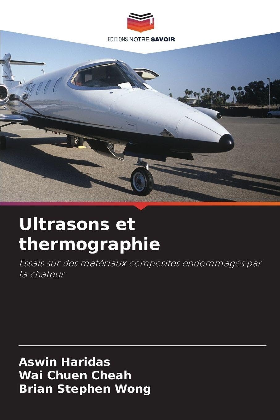 Ultrasons et thermographie Business & Technology