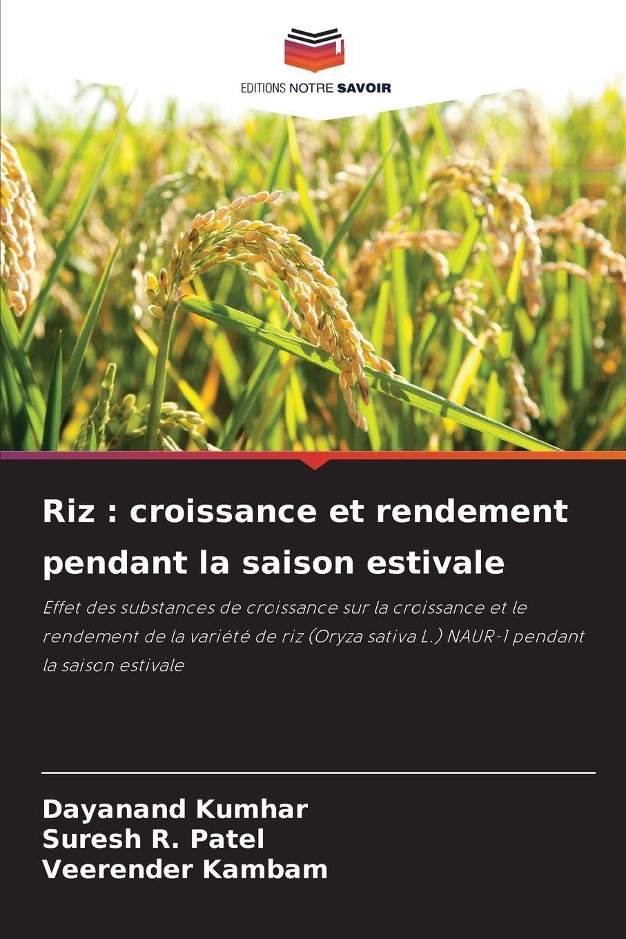 Riz : croissance et rendement pendant la saison estivale Natural Sciences