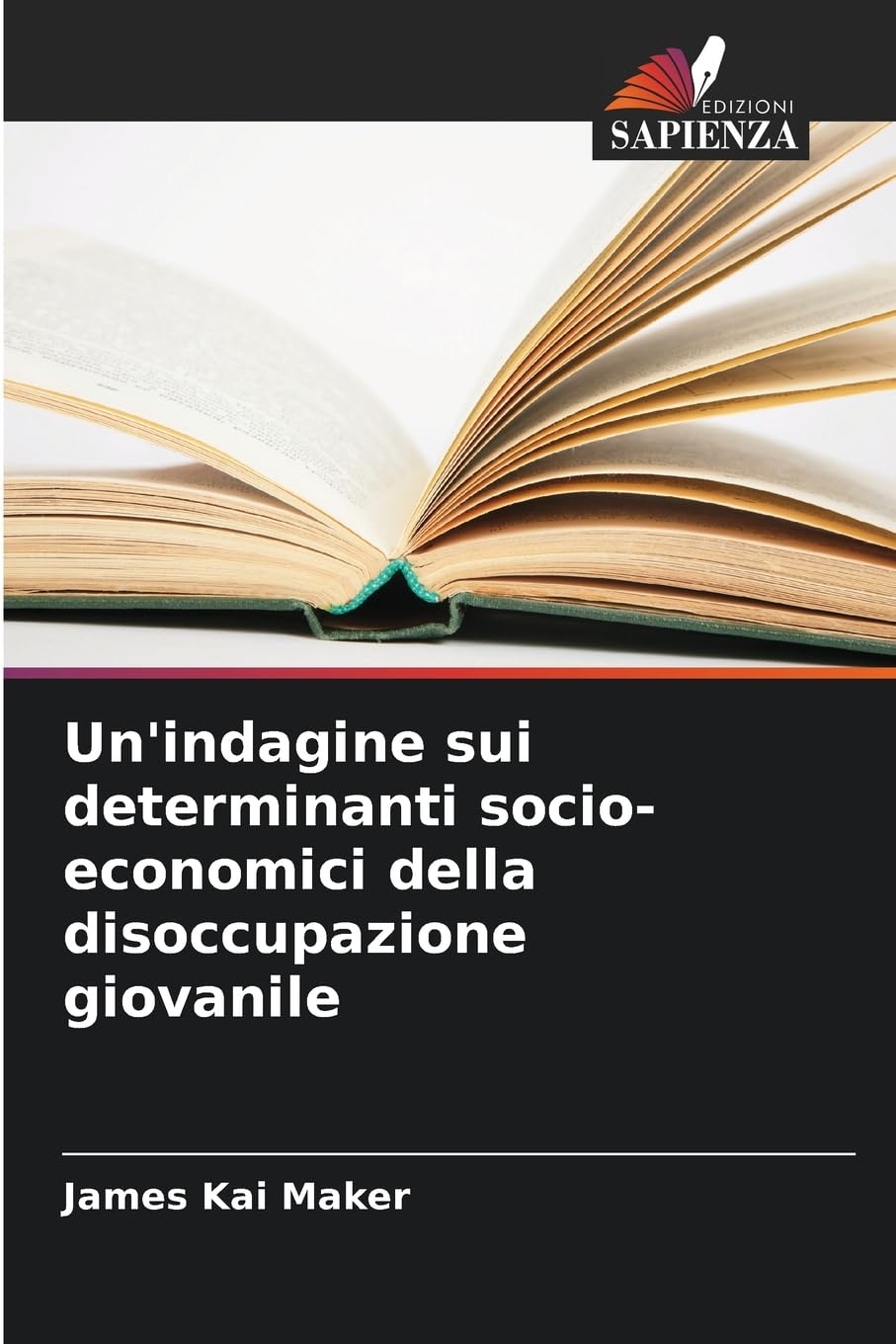 Un'indagine sui determinanti socio-economici della disoccupazione giovanile Law