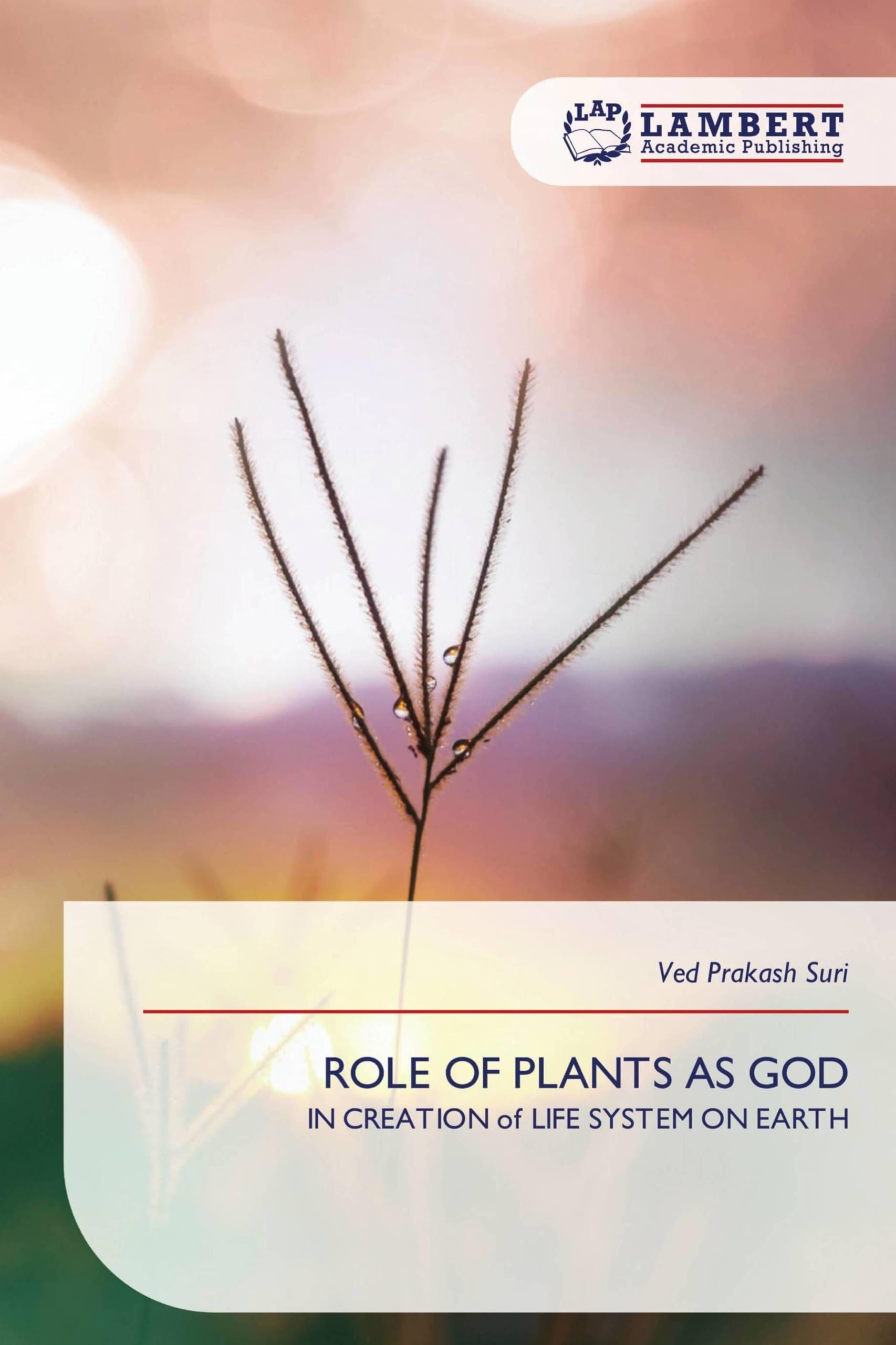 ROLE OF PLANTS AS GOD Natural Sciences
