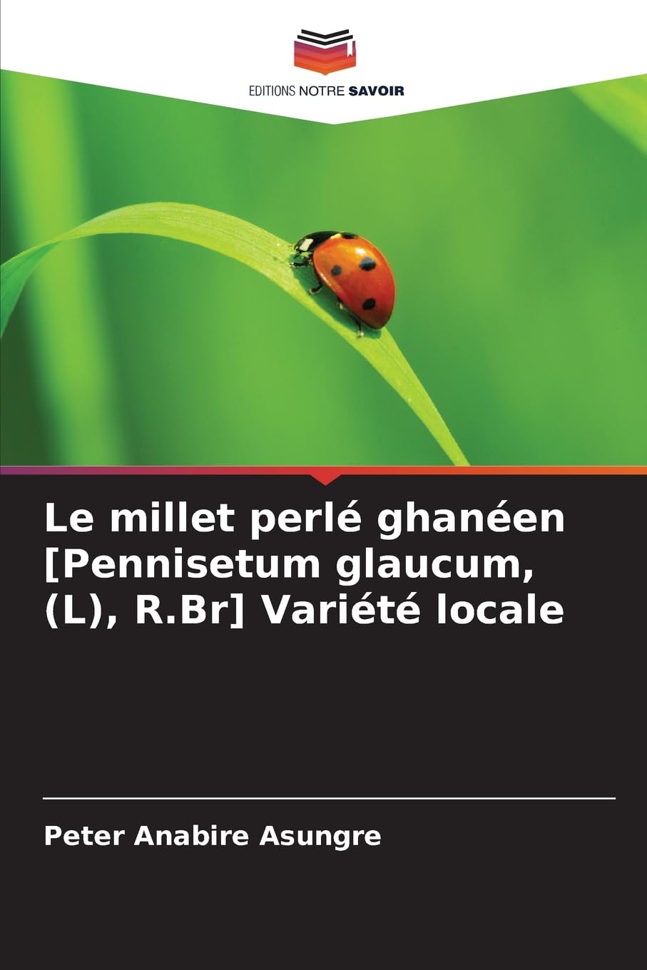 Le millet perlé ghanéen Variété locale: DE Natural Sciences