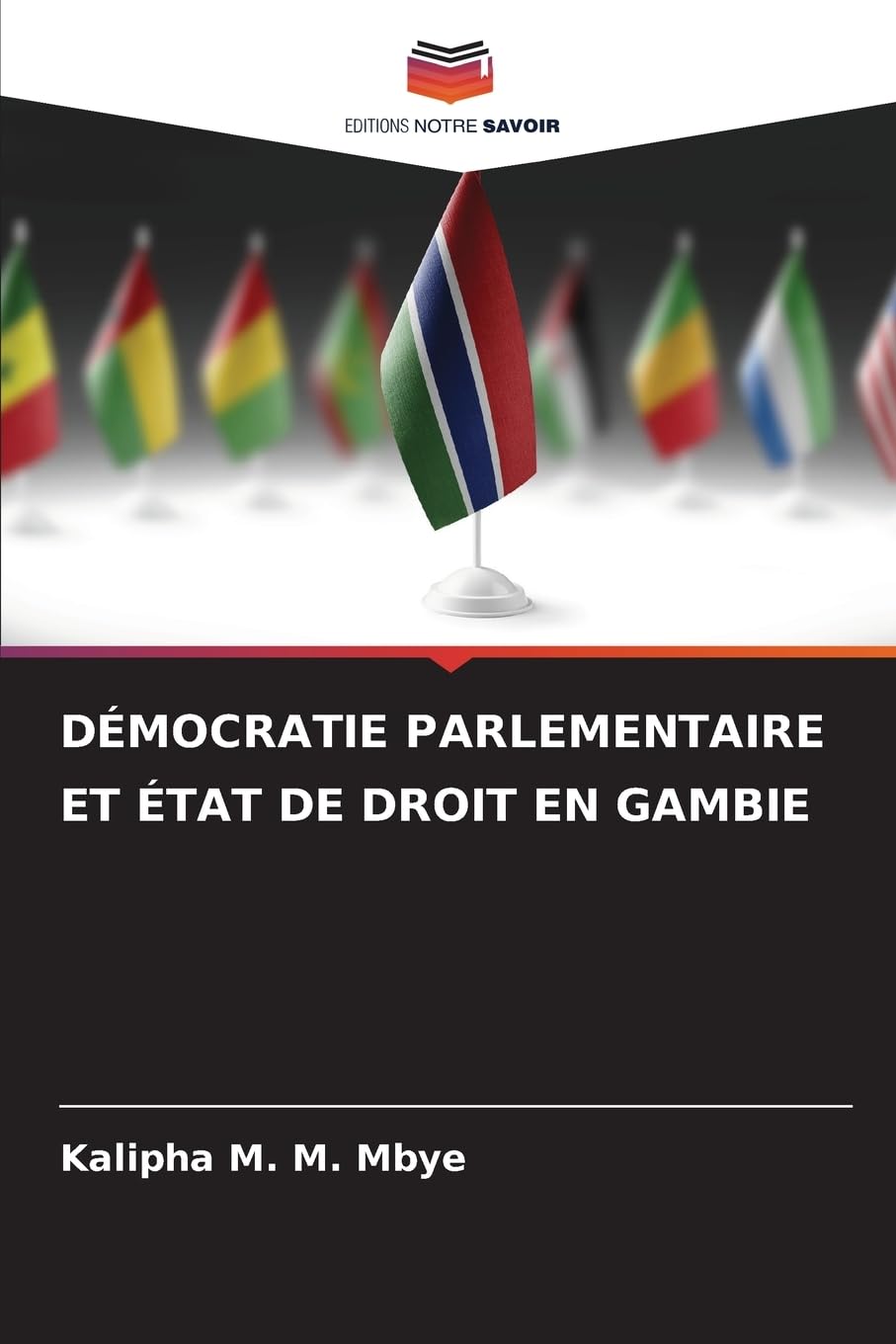DÉMOCRATIE PARLEMENTAIRE ET ÉTAT DE DROIT EN GAMBIE Law