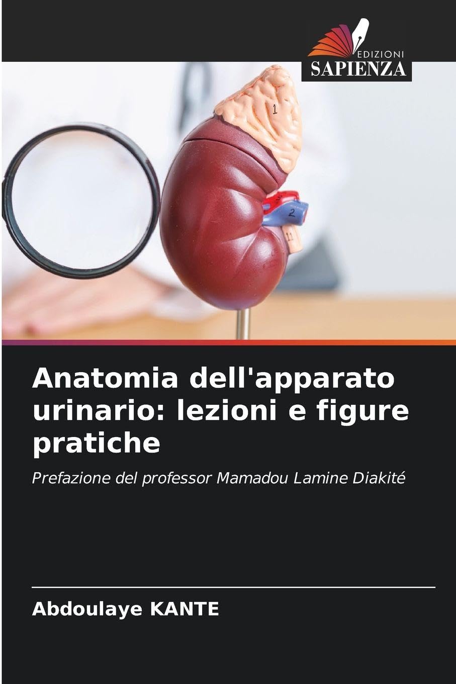 Anatomia dell'apparato urinario: lezioni e figure pratiche Medicine