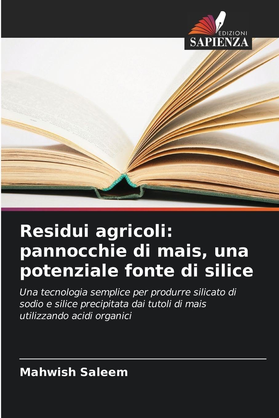 Residui agricoli: pannocchie di mais, una potenziale fonte di silice Business & Technology