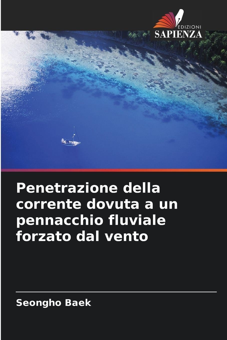 Penetrazione della corrente dovuta a un pennacchio fluviale forzato dal vento Business & Technology