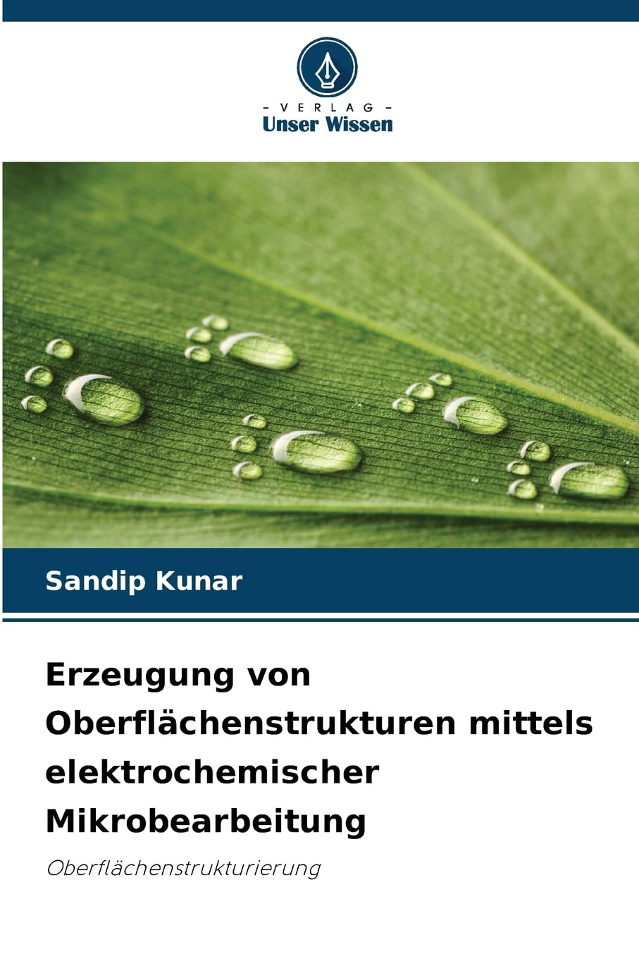 Erzeugung von Oberflächenstrukturen mittels elektrochemischer Mikrobearbeitung Business & Technology