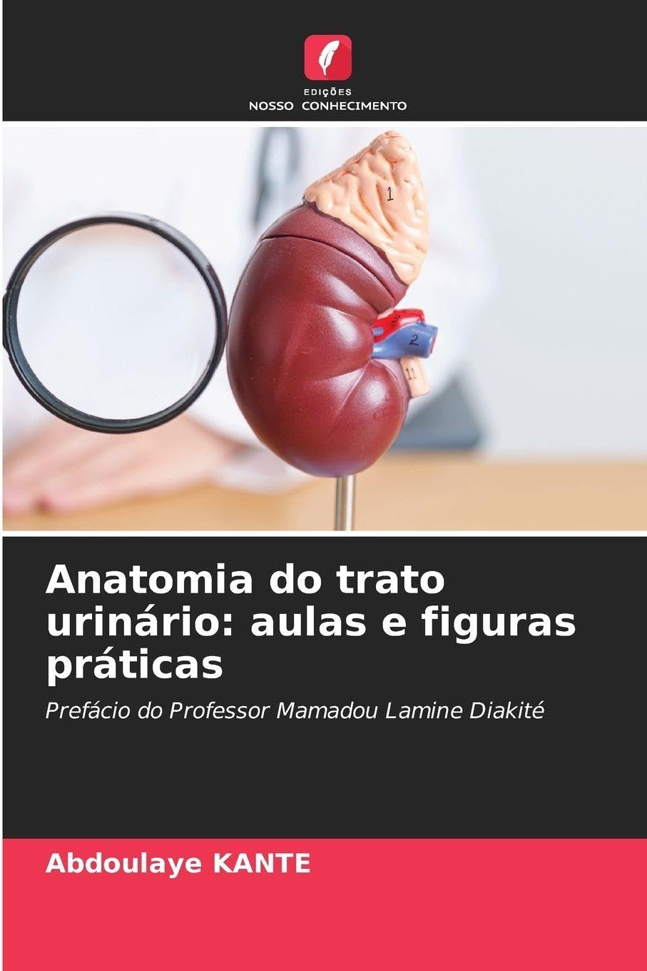 Anatomia do trato urinário: aulas e figuras práticas Medicine