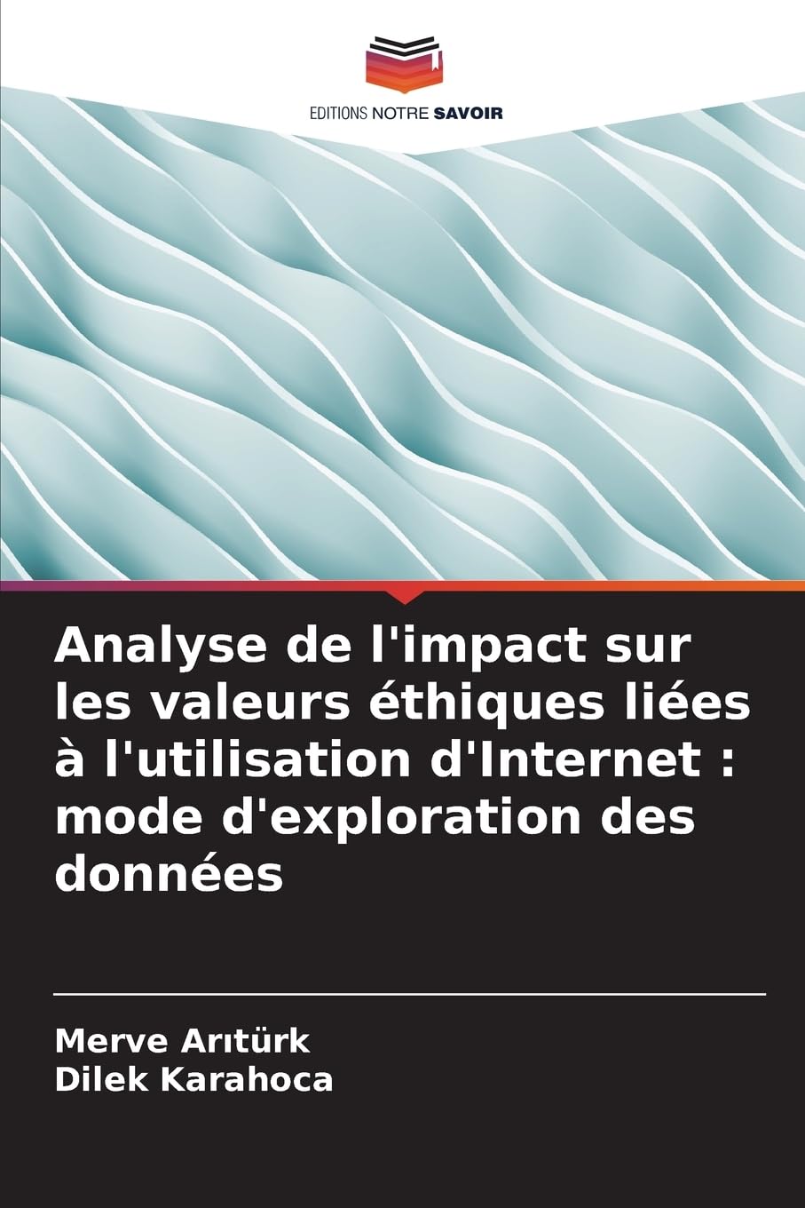 Analyse de l'impact sur les valeurs éthiques liées à l'utilisation d'Internet : mode d'exploration des données Computer Science