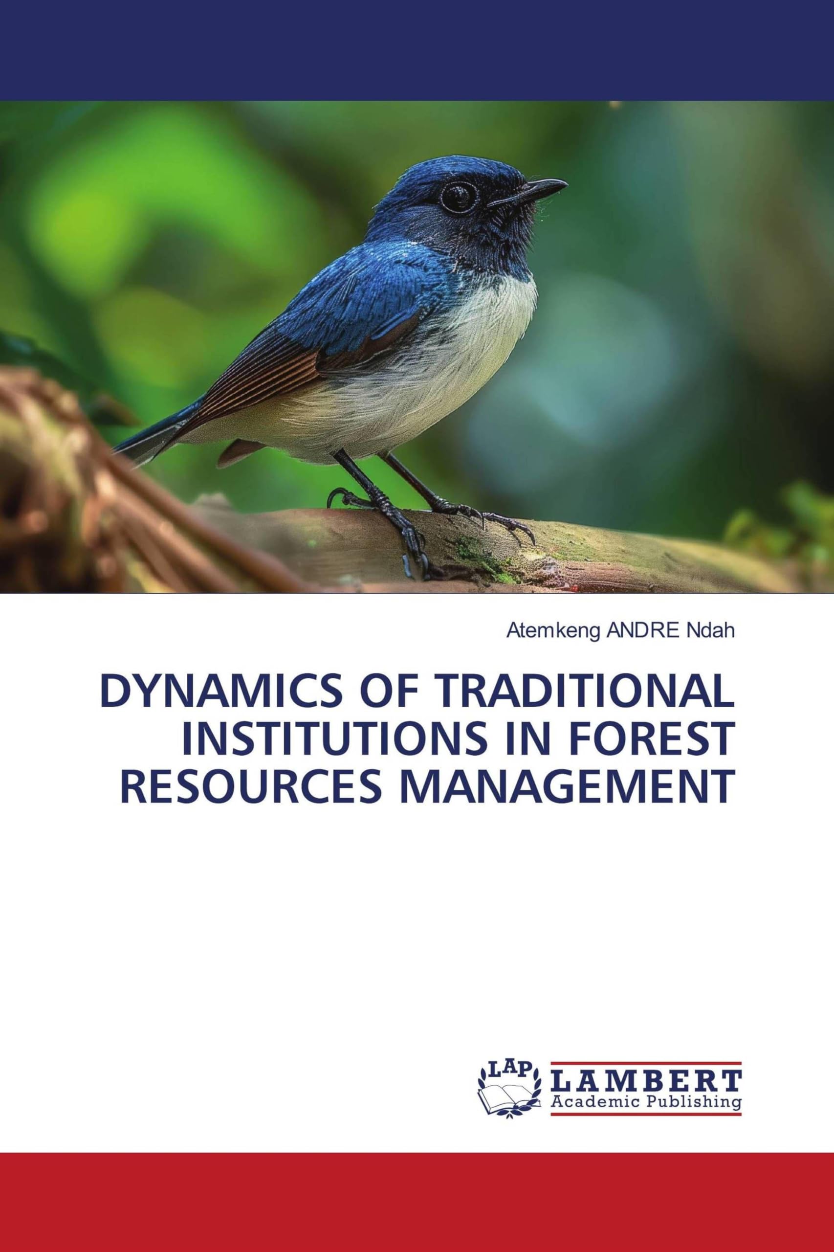 DYNAMICS OF TRADITIONAL INSTITUTIONS IN FOREST RESOURCES MANAGEMENT Natural Sciences