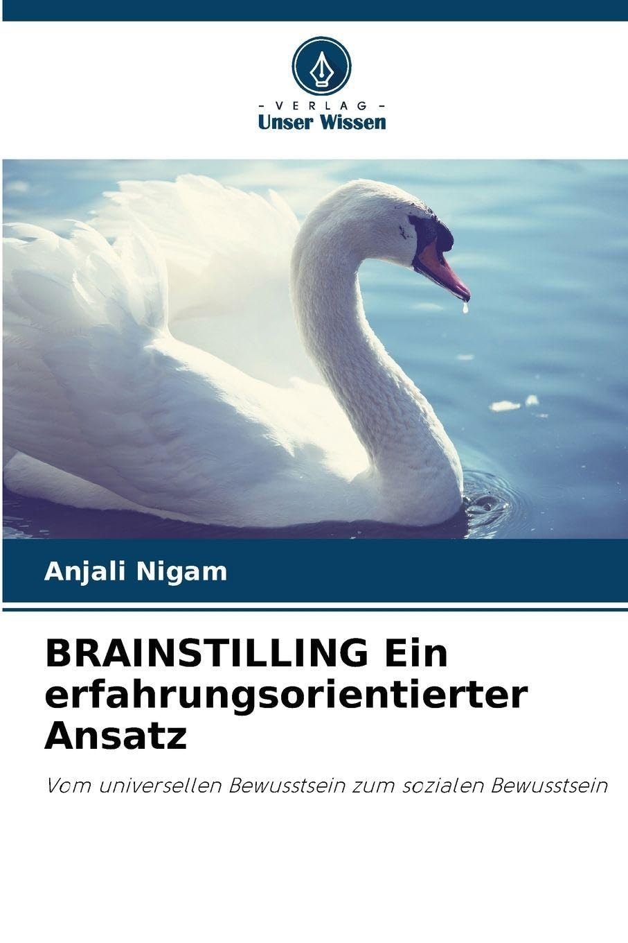 BRAINSTILLING Ein erfahrungsorientierter Ansatz Law